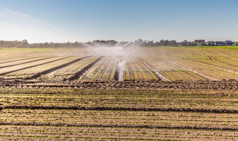 Irrigation Service in Aiken, SC