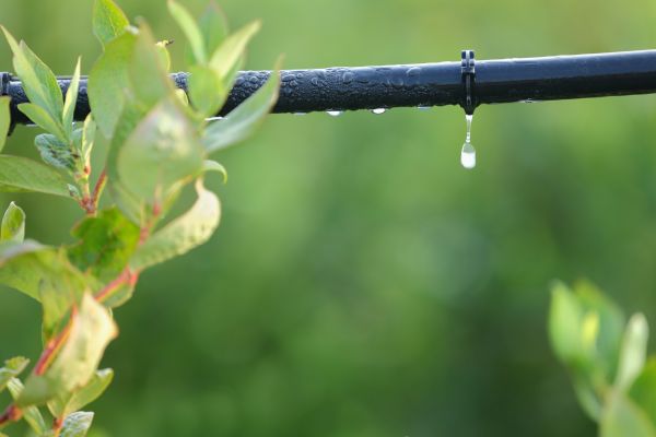 Automatic Irrigation Repair