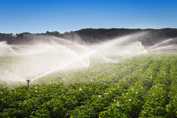 Irrigation Sprinkler System Installation - Irrigation Sprinkler System Installation Killeen, Texas