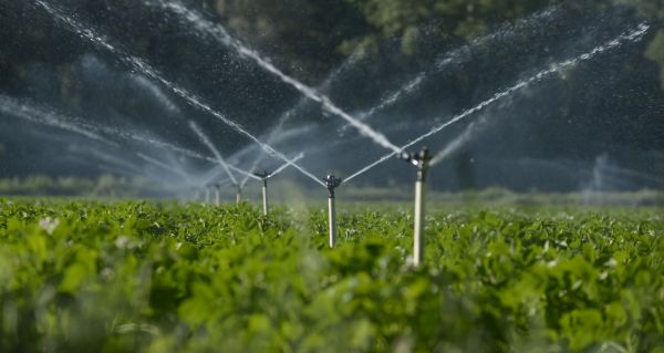 Sprinkler Irrigation Repair - Sprinkler Irrigation Repair Colorado Springs, Colorado