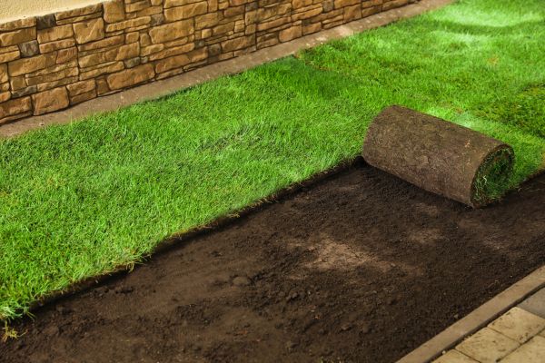 Sod Installation Service - Sod Installation Service Slidell, Louisiana