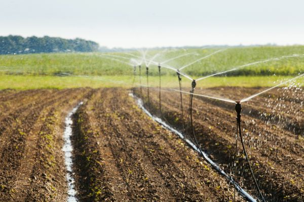 Commercial Irrigation - Commercial Irrigation Nashville, Tennessee