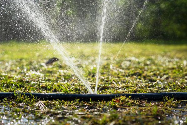 Sprinkler Pipeline Repair