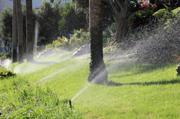Landscape Sprinkler Install