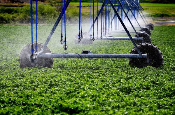 Irrigation Sprinklers Repair - Irrigation Sprinklers Repair Colorado Springs, Colorado