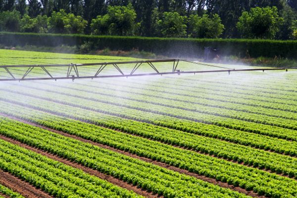 Mist Irrigation Installation