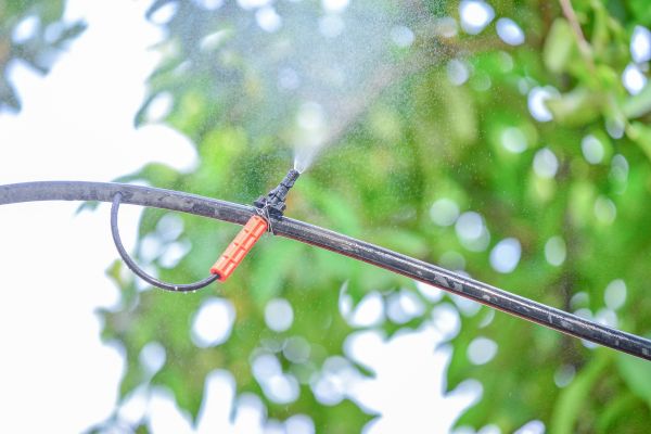 Sprinkler Fog Installation
