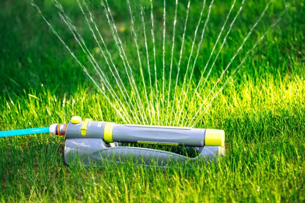 Rotary Sprinkler Placement