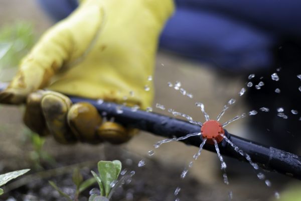 Irrigation Pipe Replacement